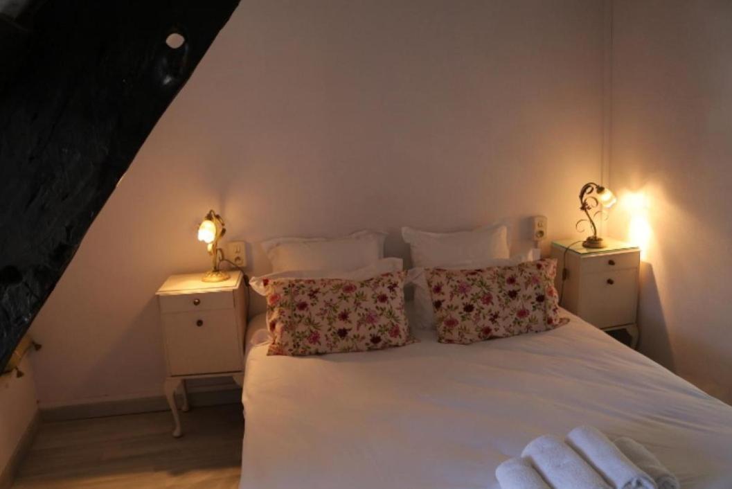 Le Poisson Ivre Bed & Breakfast Динан Екстериор снимка